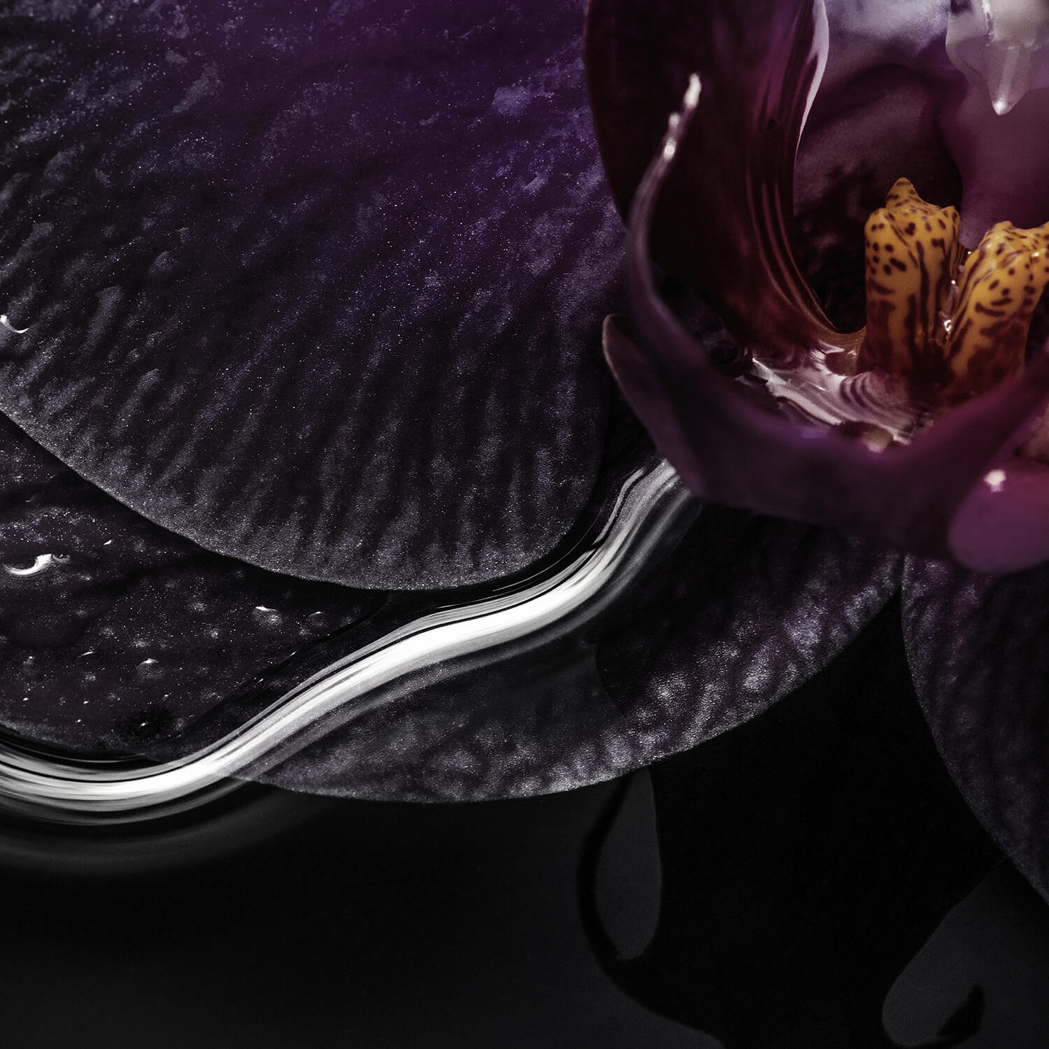 BLACK ORCHID EAU DE PARFUM 100ML